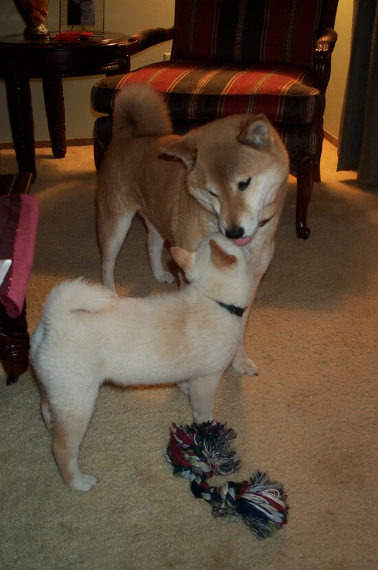 国家队海外集训取得重要突破，战术调整到位，国家队集训大名单